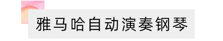 活动报道 | “科技助力，跨越时空”，小鹿纯子携手刘明康共享中日音乐盛宴