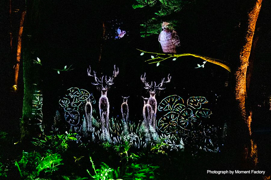 案例｜凯发k8为壮观的Kamuy Lumina魔法夜行旅游项目提供配乐设备