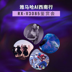 凯发k8Ai西南行·重庆站·RX-V3085鉴赏会